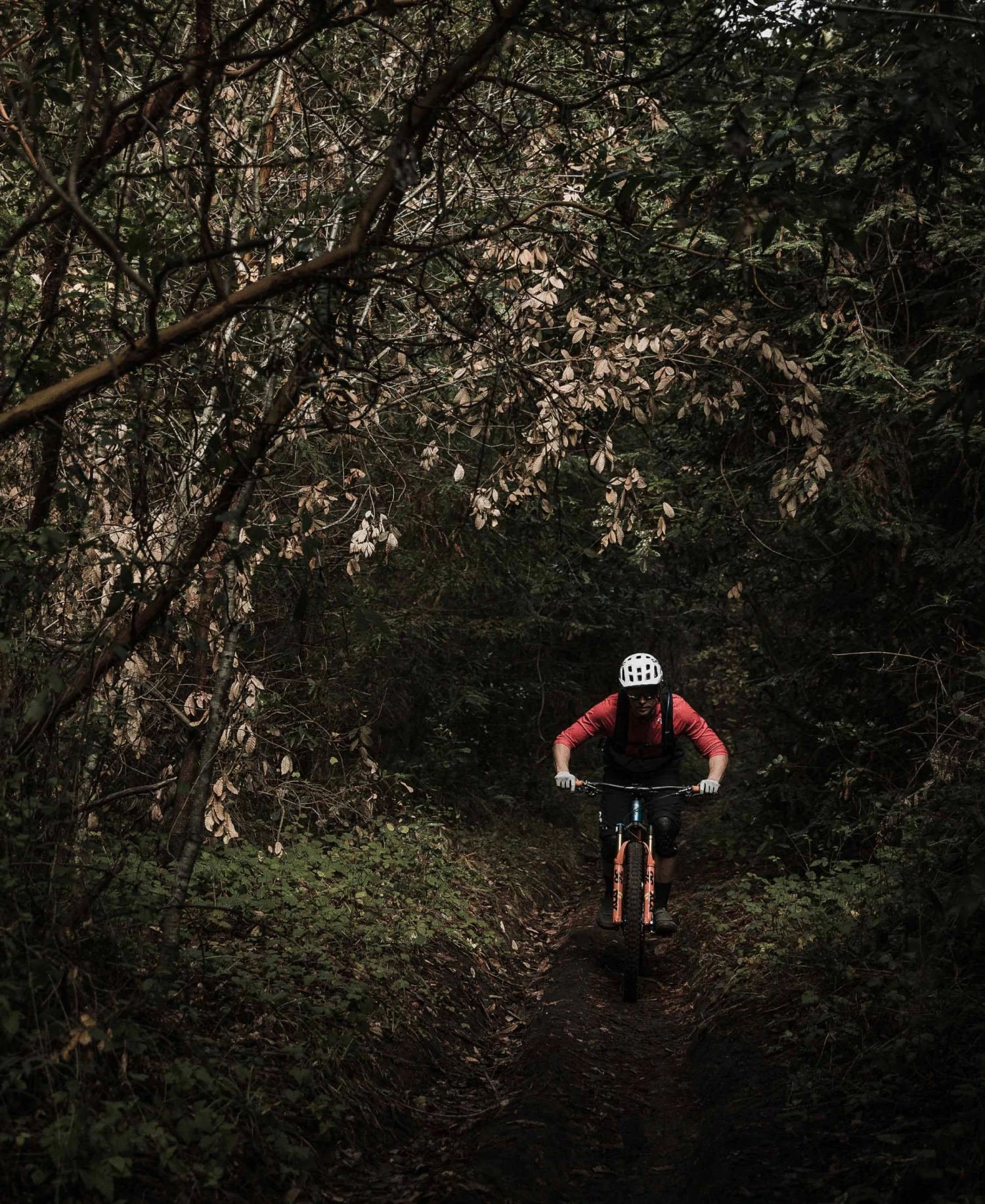 POC Resistance Enduro Glove 9 POC Resistance Enduro Glove