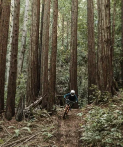 POC Resistance Pro DH Glove