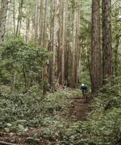 POC Resistance Women's 3/4 Jersey Apparel 20 POC Resistance Women's 3/4 Jersey Apparel