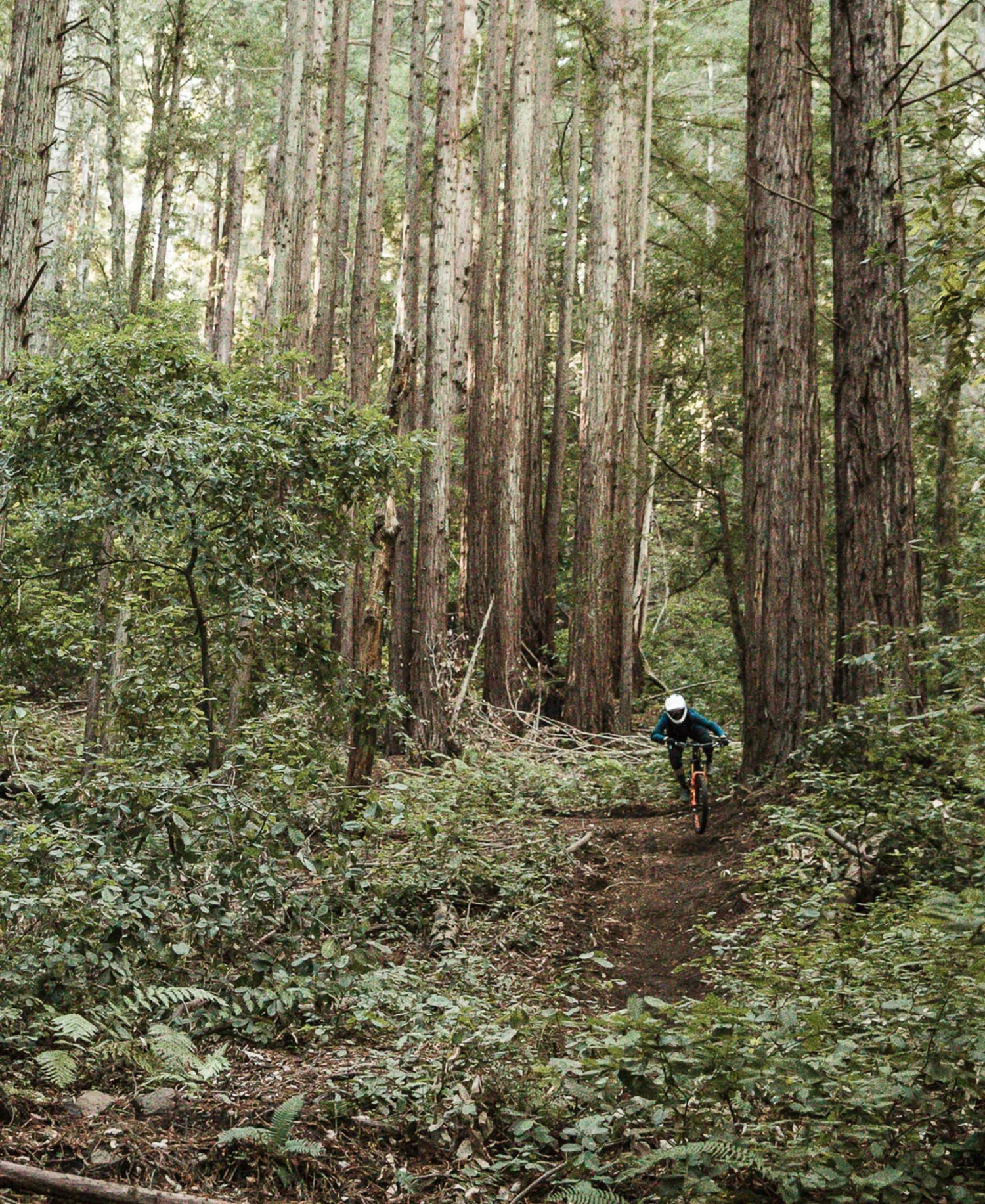 POC Resistance Women's 3/4 Jersey Apparel 11 POC Resistance Women's 3/4 Jersey Apparel