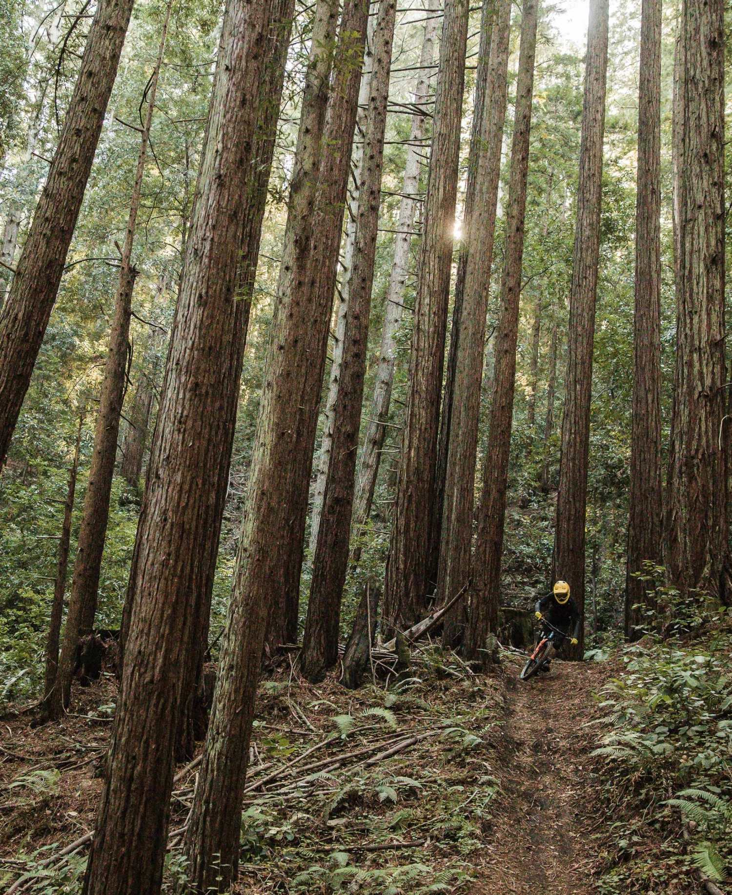 POC Armor VPD System Chest 5 POC Armor VPD System Chest